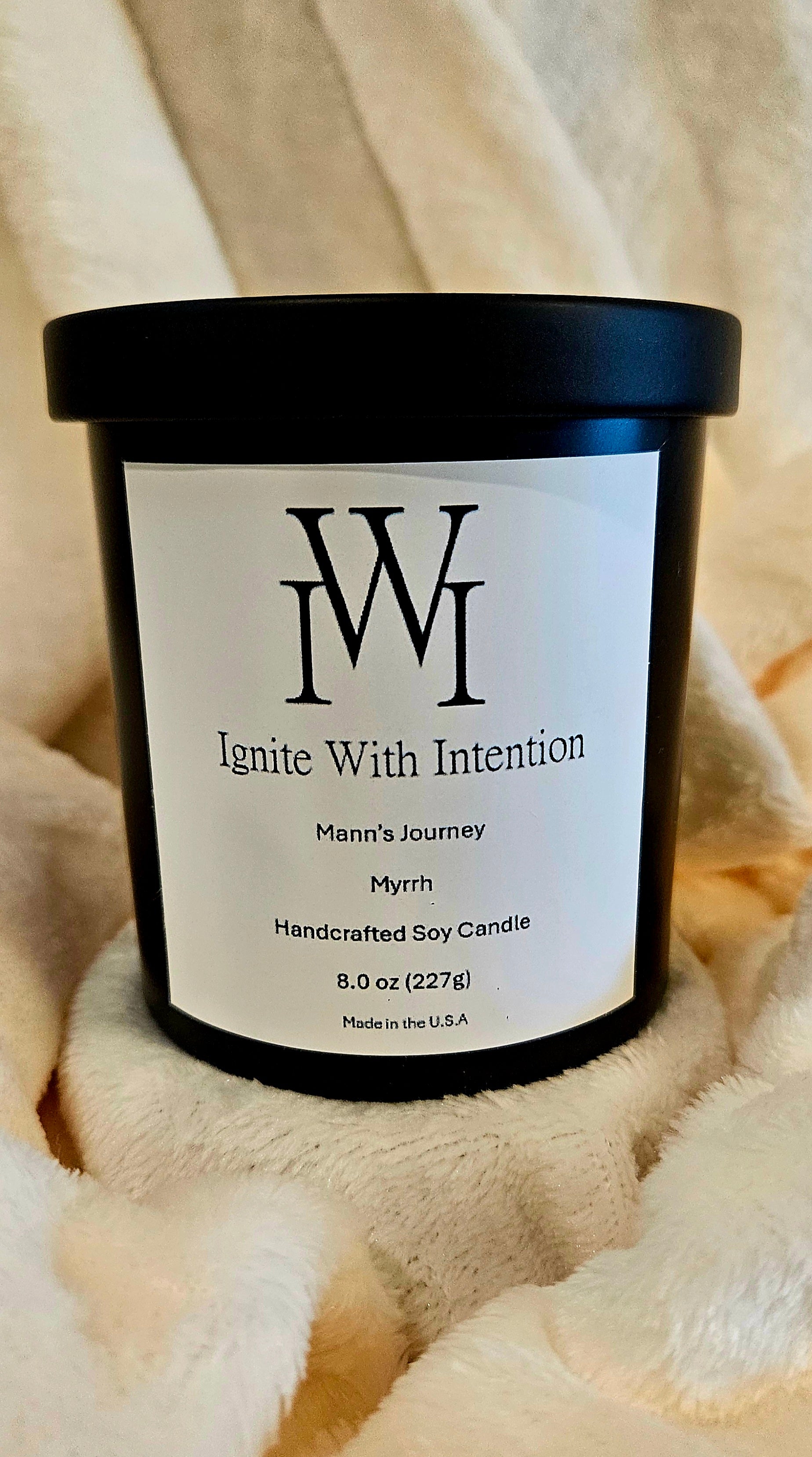 Mann's Journey